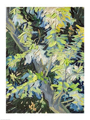 Acacia in Flowe by Vincent Van Gogh