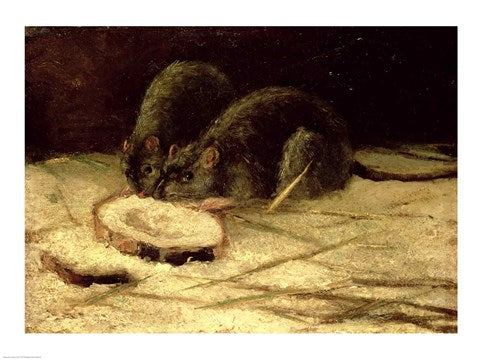 Two Rats by Vincent Van Gogh