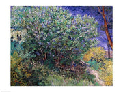 Lilac Bush, 1889 by Vincent Van Gogh