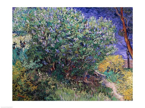 Lilac Bush, 1889 by Vincent Van Gogh
