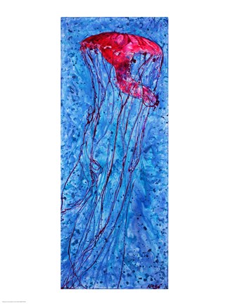 Jellyfish by Natalie Talocci
