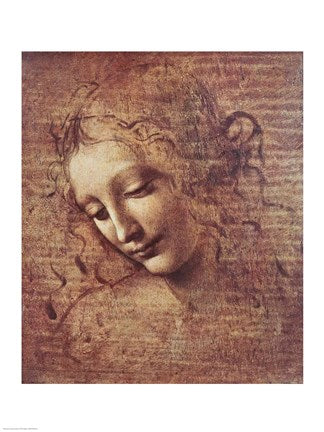 Head of a Young Woman with Tousled Hair by Leonardo Da Vinci
