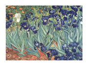 Irises in the Garden by Vincent Van Gogh