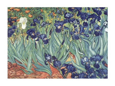Irises in the Garden by Vincent Van Gogh