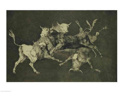 Folly of the Bulls, from the Follies series by Francisco De Goya