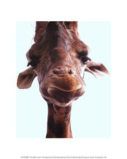 Giraffe Face