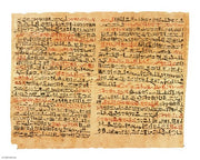 Edwin Smith Papyrus