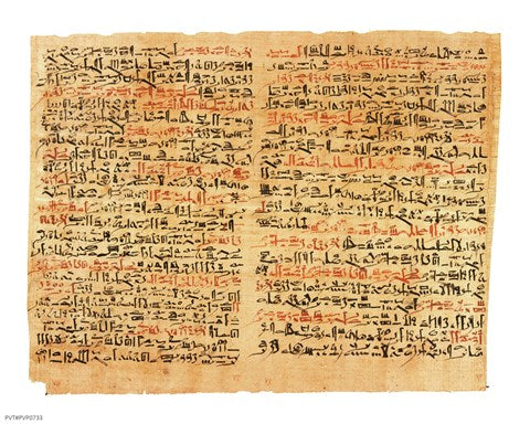 Edwin Smith Papyrus