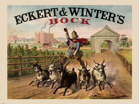 Eckert and Winters Bock Beer
