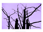 Perched and Sat and Nothing More I by Delaney Flanders