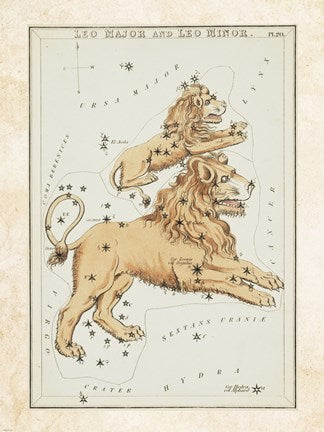 Leo Major and Leo Minor Constellation
