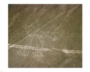 Nazca Lines Dog