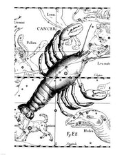 Cancer Hevelius