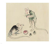 Mice in Council