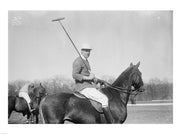 Polo black and white