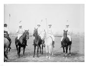 Polo photo
