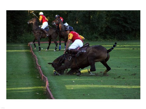 Polo - red and yellow