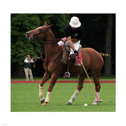 Polosschlag Nearside forward