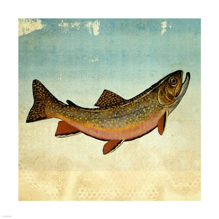Brown Trout I