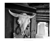Protection by Rob Sturcke