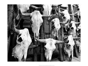 Guardians II by Rob Sturcke