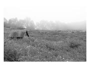 In the Fog by Delaney Flanders