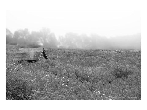 In the Fog by Delaney Flanders