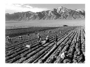 Farm Workers and Mt. Williamson by Ansel Adams