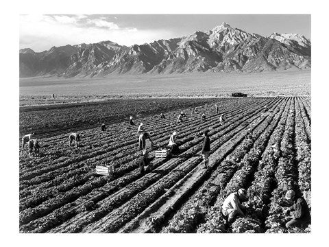 Farm Workers and Mt. Williamson by Ansel Adams