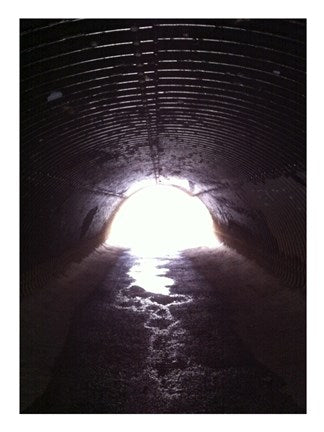D&R Canal Towpath Tunnel