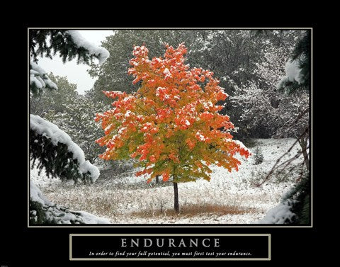 Endurance - Fall Tree