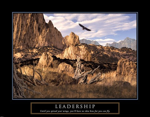 Leadership-Eagle