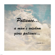 Patience Proverbs 19:11 Against the Sky