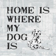 Home Is Where My Dog Is by Veruca Salt