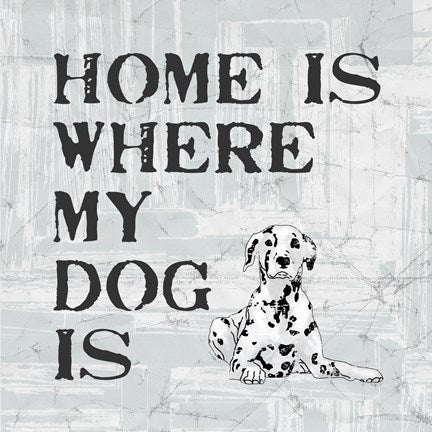 Home Is Where My Dog Is by Veruca Salt
