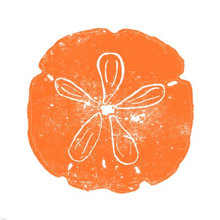 Orange Sand Dollar by Veruca Salt