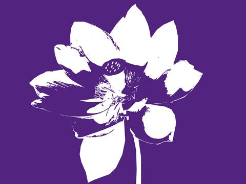 Lilly on Purple by George Dilorenzo