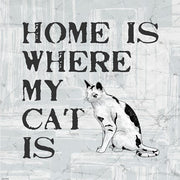 Home Is Where My Cat Is by Veruca Salt