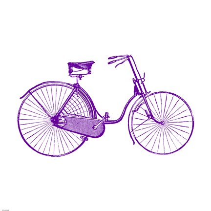 Purple On White Bicycle by Veruca Salt