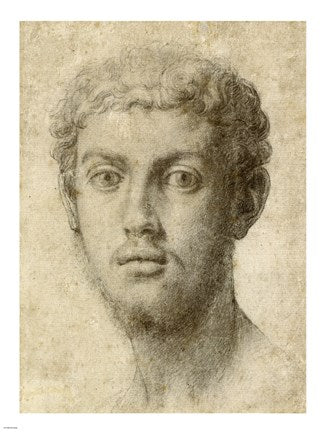 Head of a Man by Agnolo Bronzino