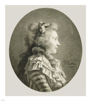 Portrait of a Young Lady in Profile by Henri Pierre Danloux