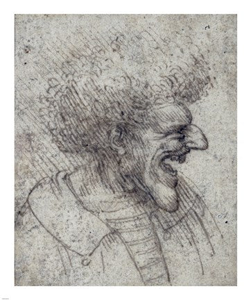 Caricature of a Man with Bushy Hair by Leonardo Da Vinci