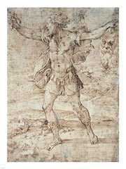 David with the Head of Goliath by F. Parmigianino