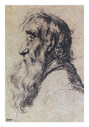 Head of an Old Man by Jacques De gheyn