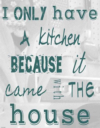 I Only Have a Kitchen Because it Came With the House by Veruca Salt