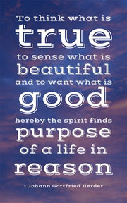 Life in Reason by Veruca Salt