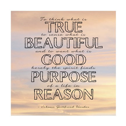Life in Reason square by Veruca Salt