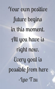 Every Goal Is Possible by Veruca Salt