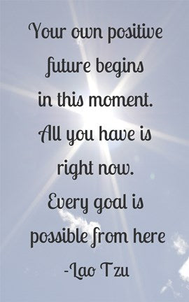 Every Goal Is Possible by Veruca Salt