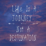 Life Is a Journey by Veruca Salt